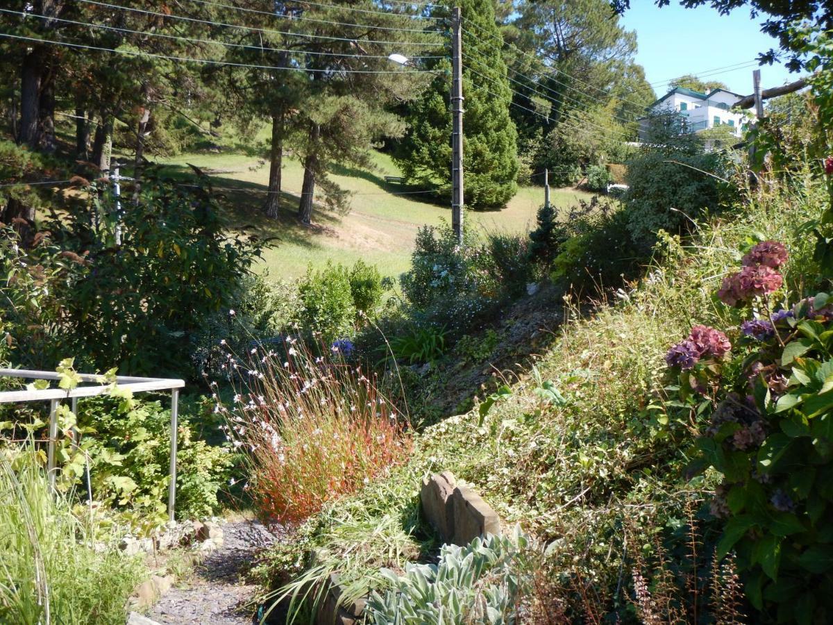Dorre Pean Bed and Breakfast Ciboure Εξωτερικό φωτογραφία